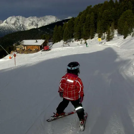 Alpine *