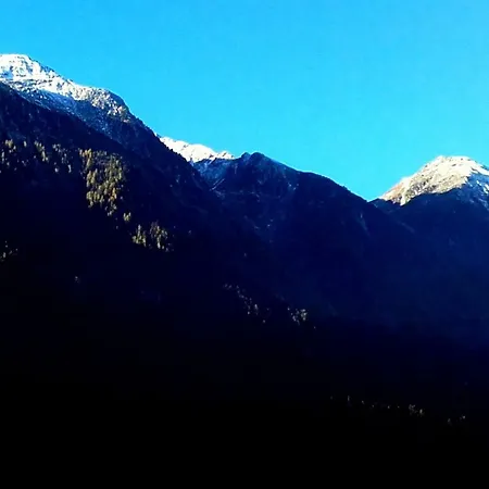 Appartement Alpine *
